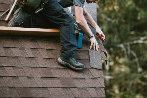 Best Roof Gutter Cleaning  in Hazleton, PA